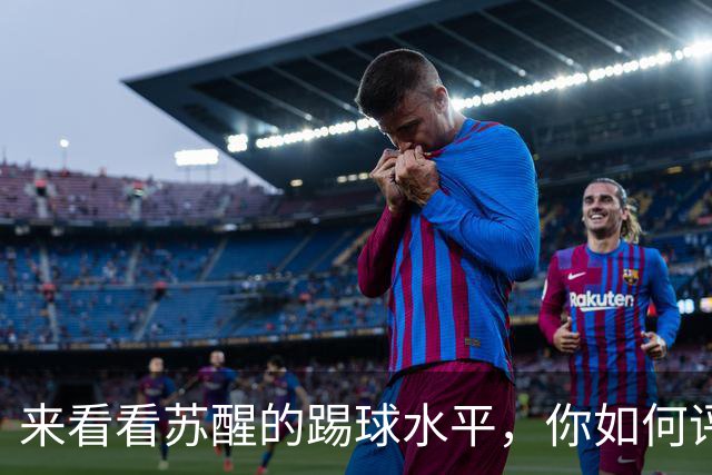 来看看苏醒的踢球水平，你如何评价？