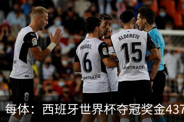 每体：西班牙世界杯夺冠奖金4370万欧元